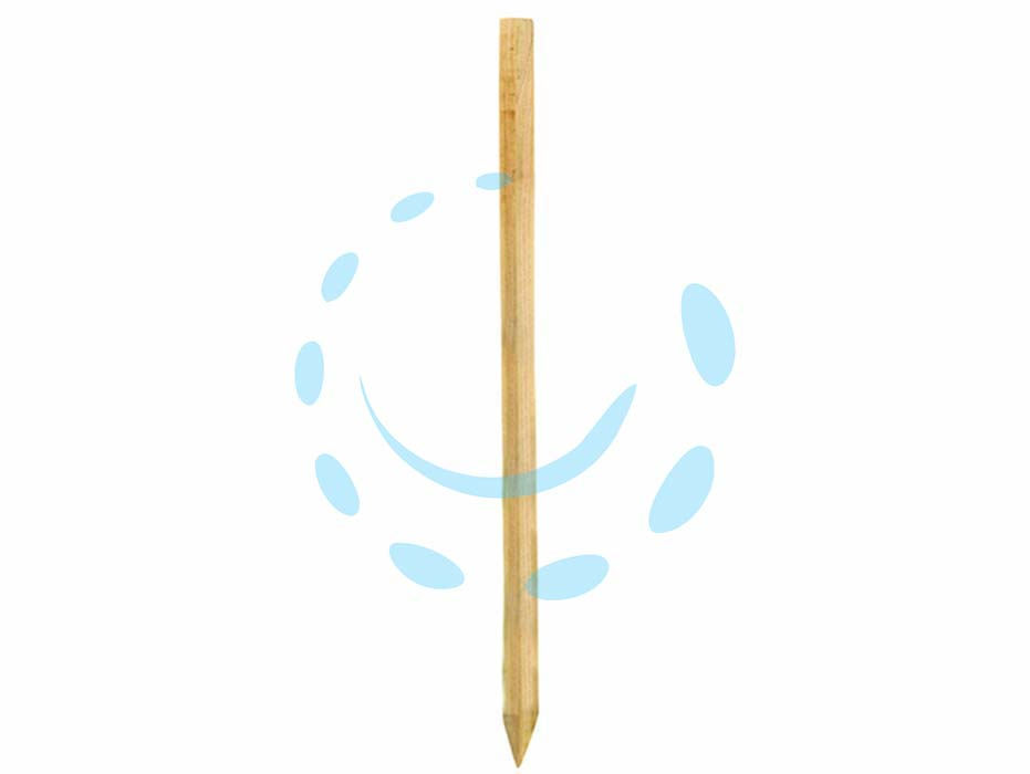 Immagine AANG_ART/FGI428088/NW428071.jpg non trovata.